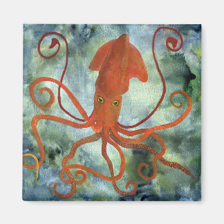 squid magnet