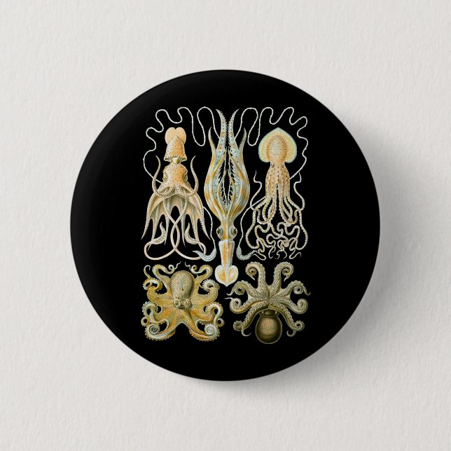 Squid & Octopus 2 Inch Round Button (Front)