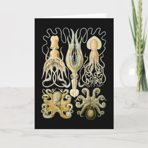 Squid & Octopus Card