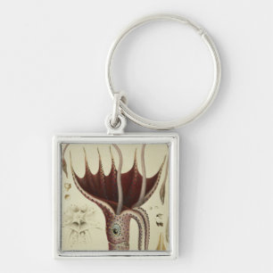 Squid, Pl.2 from 'Histoire Naturelle Keychain
