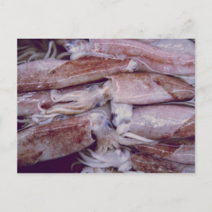 Squid Postcard