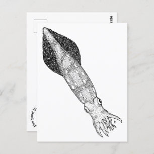 Squid Postcard