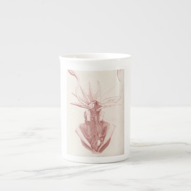 Squid Vintage Nautical Bone China Mug (Front)