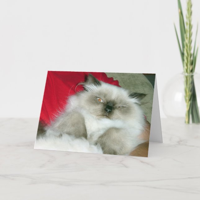 Squinty Himmy Birthday Card (Front)