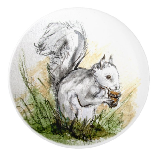 Squirel Away For A Rainy Day . . . Ceramic Knob (Front)