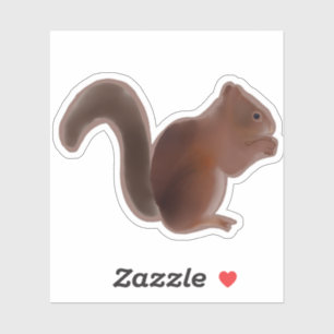 Squirrel 