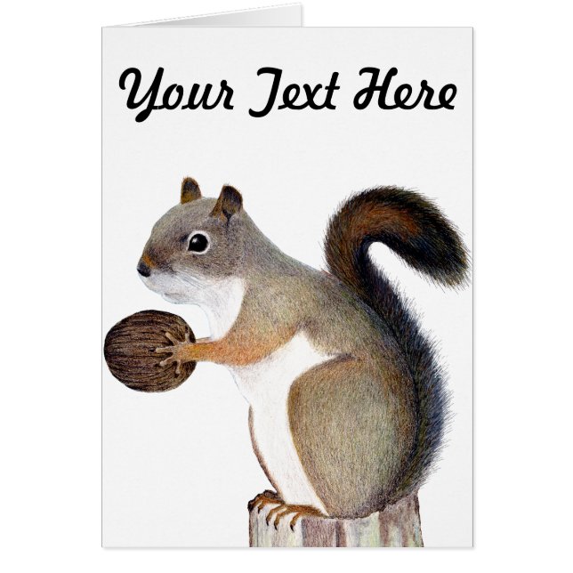 Squirrel (Front)