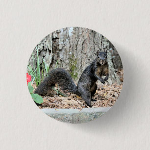 Squirrel 1 Inch Round Button