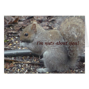 Squirrel (1a) - I'm Nuts About You! - Customizable