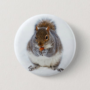 Squirrel 2 Inch Round Button