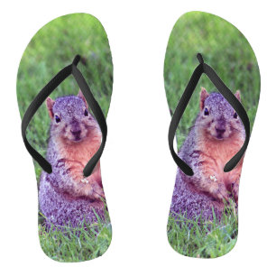 Squirrel 6705 flip flops