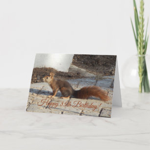 Squirrel 85th Birthday Card