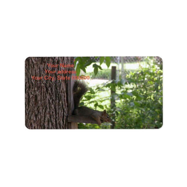 Squirrel Address Labels (Front)