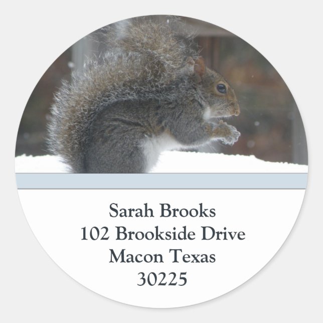 Squirrel Address Labels (Front)