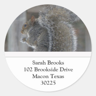 Squirrel Address Labels