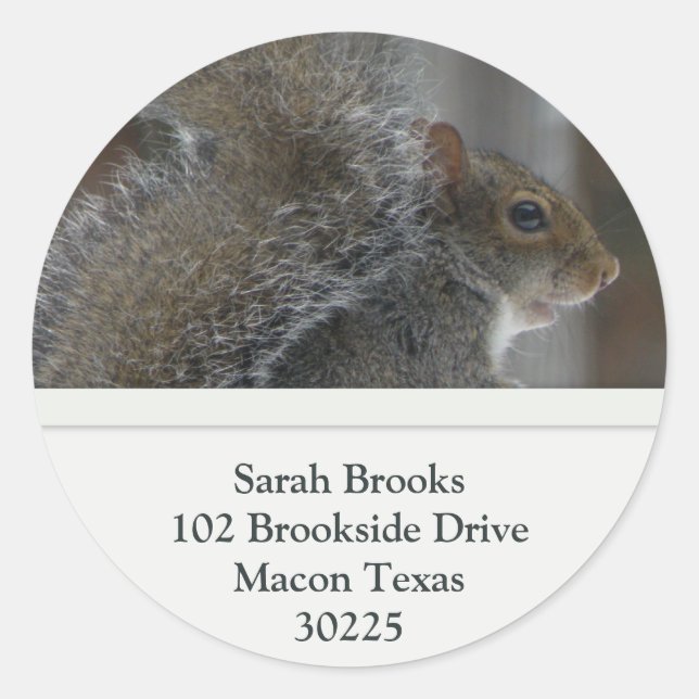 Squirrel Address Labels (Front)