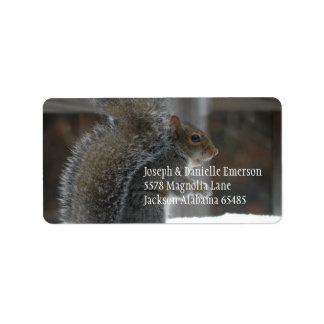 Squirrel Address Sticker
