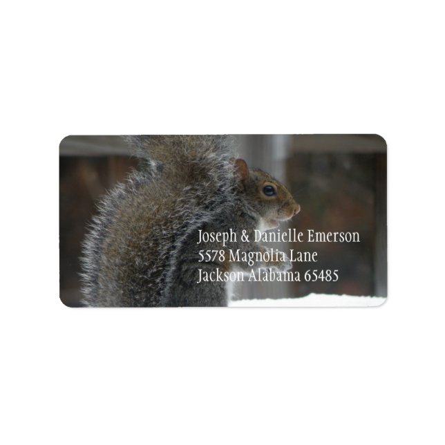Squirrel Address Sticker (Front)