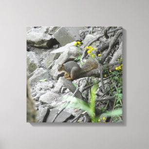 Squirrel along a creek bank canvas print