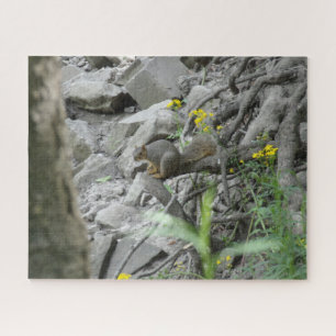 Squirrel along a creek bank jigsaw puzzle