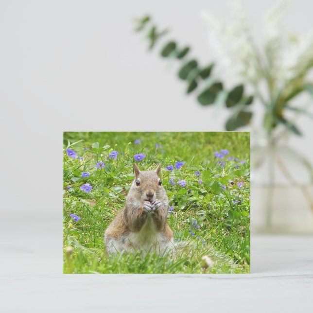 Squirrel Amongst Wild Violets Postcard (Standing Front)