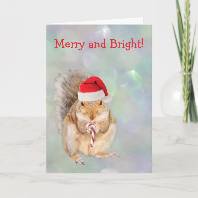 Squirrel and Candy Cane Christmas  Holiday Card (Front)