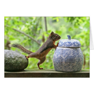 Squirrel and Cookie Jar