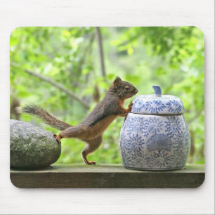 Squirrel and Cookie Jar Mouse Pad