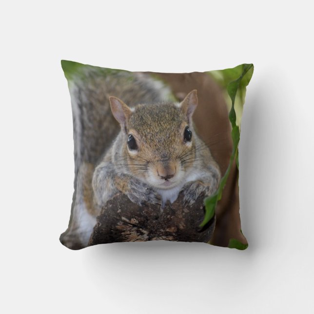 squirrel animal on log hanging out colour throw pillow (Front)