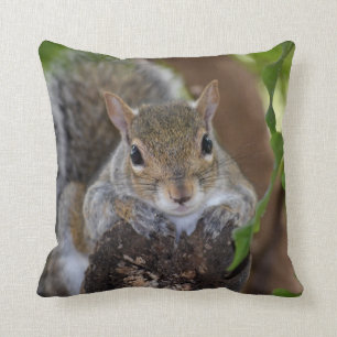 squirrel animal on log hanging out colour throw pillow