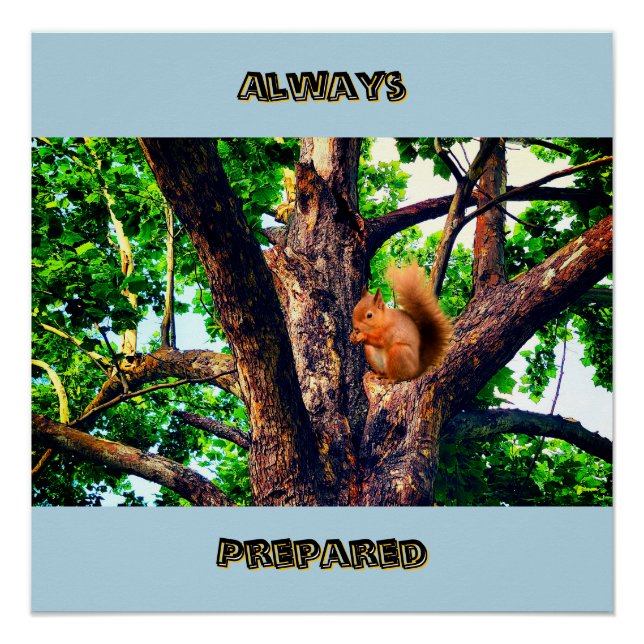 Squirrel Animal Poster (Front)