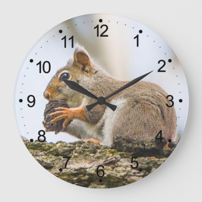 Squirrel Animals Woodland Nature Large Clock (Front)