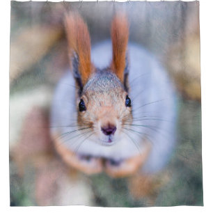 Squirrel - Anything To Bite