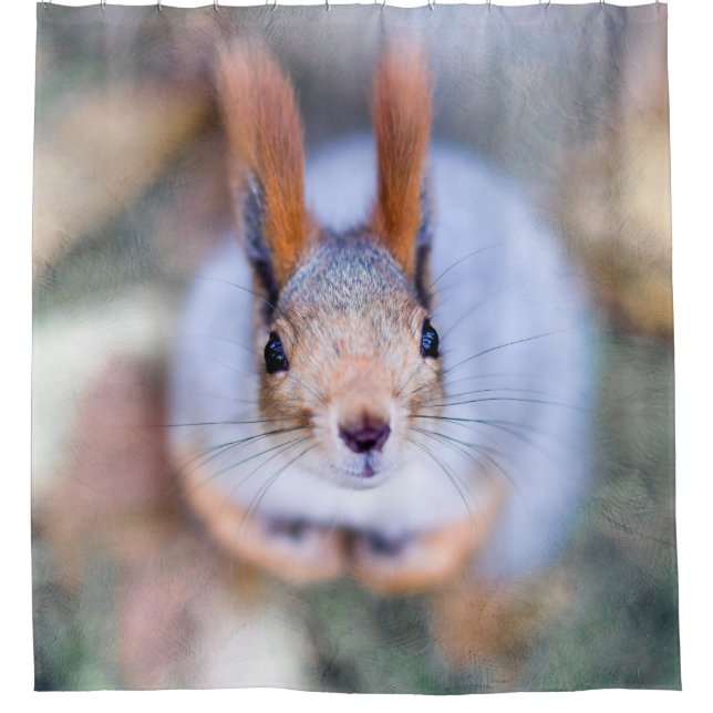 Squirrel - Anything To Bite (Front)