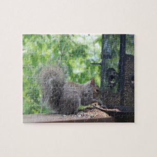 Squirrel At Bird Feeder Jigsaw Puzzle
