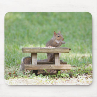 Squirrel at Picnic Table Mouse Pad