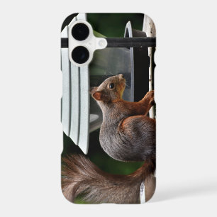 Squirrel at the Bird Feeder