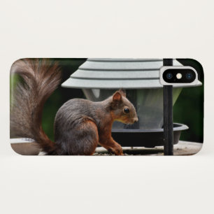 Squirrel at the Bird Feeder Case-Mate iPhone Case