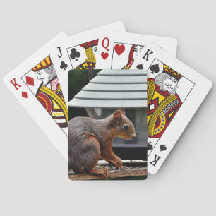 Squirrel at the Bird Feeder Playing Cards