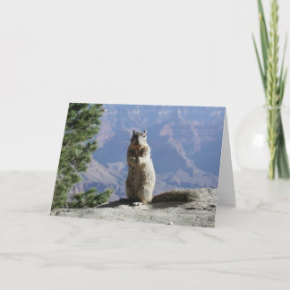 Squirrel at the Grand Canyon Card