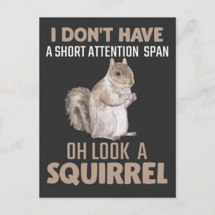 Squirrel Attention Humour Garden Small Animal Love Postcard