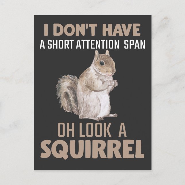 Squirrel Attention Humour Garden Small Animal Love Postcard (Front)