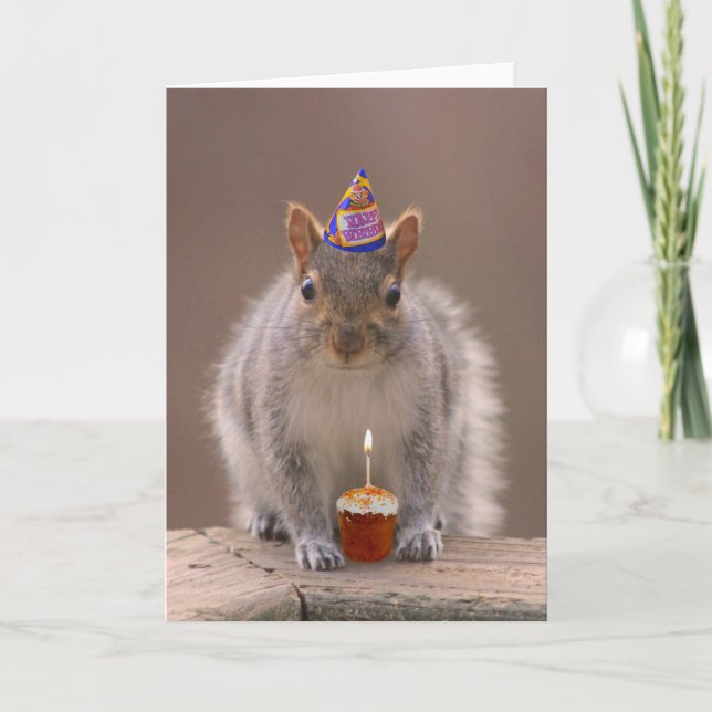 Squirrel birthday card (Front)