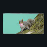 Squirrel Blowing a Bubblegum Bubble Animal Photo Desk Mat<br><div class="desc">Add some fun to your desk with this quirky,  but cute desk mat. It features a photo of a grey squirrel blowing a bubble with some pink bubblegum.</div>