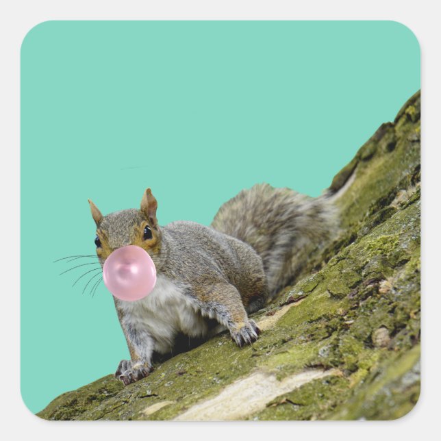 Squirrel Blowing a Bubblegum Bubble Animal Photo Square Sticker (Front)