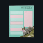 Squirrel Blowing and Bubblegum Weekly Planner Notepad<br><div class="desc">Stay organized with this fun weekly planner pad. Each sheet of this pad is printed with seven blocks for jotting down your weekly activities along with a notes area. The pad features a cute photo of a squirrel blowing a bubble with some pink bubblegum.</div>