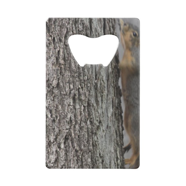 Squirrel Bottle Opener Credit Card Bottle Opener (Front)