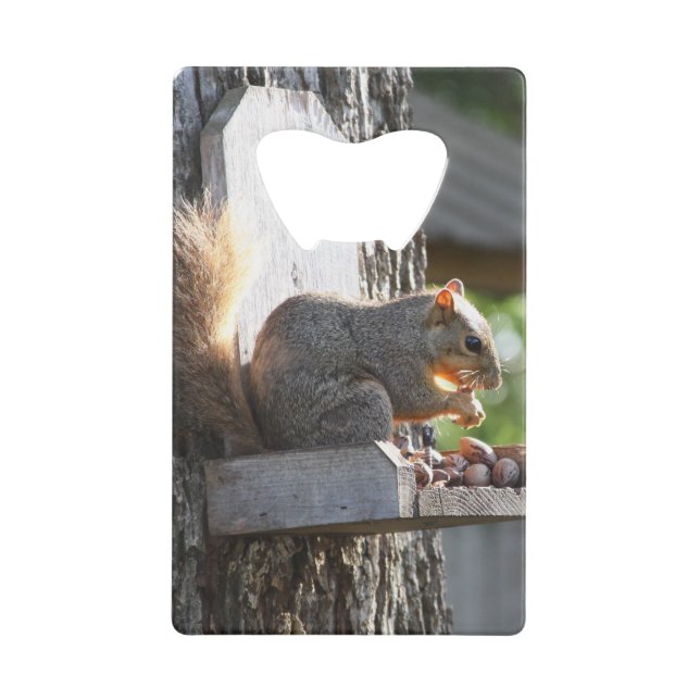 Squirrel Bottle Opener Credit Card Bottle Opener (Front)