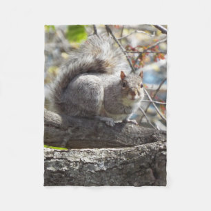 Squirrel branch fleece blanket