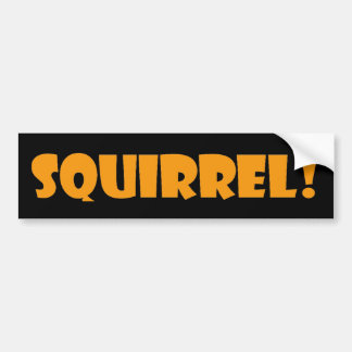 Squirrel Bumper Sticker